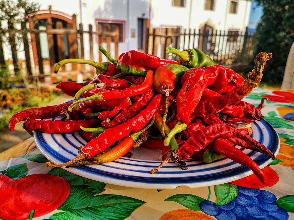 chillies on a picnic table to make the asian chilli sauce